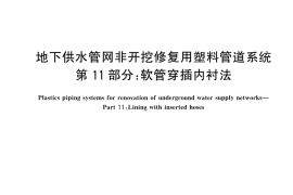 GB／T 43982.11-2025 地下供水管网非开挖修复用塑料管道系统 第11部分：软管穿插内衬法