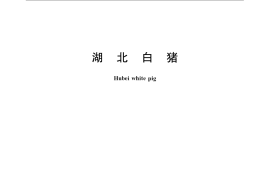 GB／T 8476-2008 湖北白猪