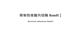 GB／T 35539-2017 限制性核酸内切酶BamH I