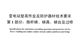 DLT1209.1-2013 变电站登高作业及防护器材技术要求 第1部分：抱杆梯、梯具、梯台及过桥