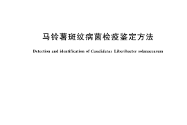 GB／T 43169-2023 马铃薯斑纹病菌检疫鉴定方法