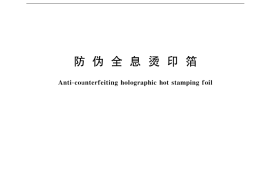 GB／T 18734-2002 防伪全息烫印箔