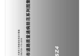 天津市城市道路质量通病防范系列图集 DBJT29-175-2018（上）