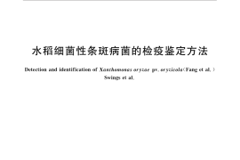 GB／T 28099-2011 水稻细菌性条斑病菌的检疫鉴定方法
