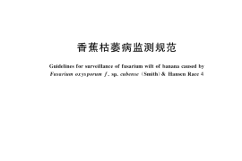 GB／T 35339-2017 香蕉枯萎病监测规范