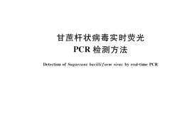 GB／T 36806-2018 甘蔗杆状病毒实时荧光PCR检测方法