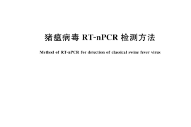 GB／T 36875-2018 猪瘟病毒RT-nPCR检测方法