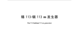 GB／T 11810-2008 锡113-铟113m发生器