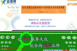 西南05J-T-303BAC双面自粘卷材和SPU涂料防水系统建筑构造(西南05J-T-303)