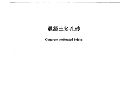 JC943-2004 混凝土多孔砖