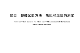 GB／T 33393-2023 鞋类 整鞋试验方法 热阻和湿阻的测定