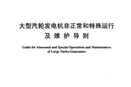DLT970-2005 大型汽轮发电机非正常和特殊运行及维护导则