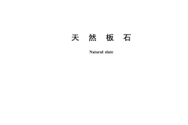 GBT18600-2009 天然板石