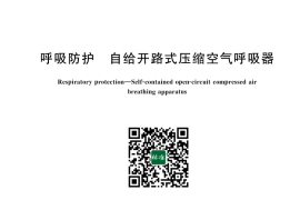 GB 16556-2025 呼吸防护 自给开路式压缩空气呼吸器