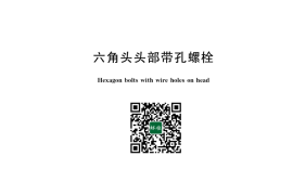 GB／T 32.1-2020 六角头头部带孔螺栓