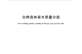 GB／T 32771-2016 白桦造林苗木质量分级