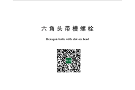 GB／T 29.1-2013 六角头带槽螺栓