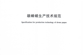 GB／T 40197-2021 雄蜂蛹生产技术规范(1)