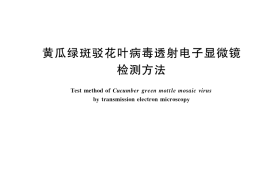 GB／T 34331-2017 黄瓜绿斑驳花叶病毒透射电子显微镜检测方法