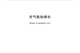 GB／T 21286-2007 充气轮胎修补
