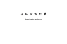 GB／T 15719-2011 现场发泡包装