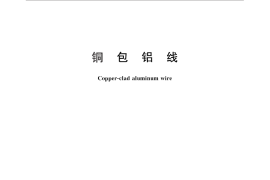 GB／T 29197-2012 铜包铝线