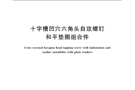 GB／T 9074.20-2004 十字槽凹穴六角头自攻螺钉和平垫圈组合件