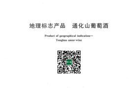 GB／T 20820-2007 地理标志产品 通化山葡萄酒(1)