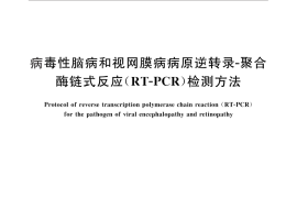 GB／T 27531-2011 病毒性脑病和视网膜病病原逆转录-聚合酶链式反应（RT-PCR）检测方法
