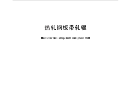 GB／T 25825-2010 热轧钢板带轧辊