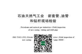 GB／T 20656-2023 石油天然气工业 新套管、油管和钻杆现场检验