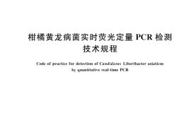 GB／T 28062-2025 柑橘黄龙病菌实时荧光定量PCR检测技术规程