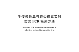 GB／T 27981-2011 牛传染性鼻气管炎病毒实时荧光PCR检测方法