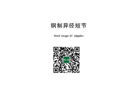 GB／T 43913-2024 钢制异径短节