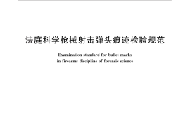 GB／T 29348-2012 法庭科学枪械射击弹头痕迹检验规范