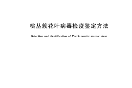 GB／T 36841-2018 桃丛簇花叶病毒检疫鉴定方法
