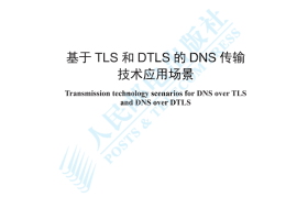 YDT 4790-2024 基于TLS和DTLS的DNS传输技术应用场景_高清正式版