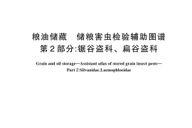 GB／T 37719.2-2024 粮油储藏 储粮害虫检验辅助图谱 第2部分：锯谷盗科、扁谷盗科