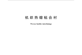 GB／T 23327-2009 机织热熔粘合衬
