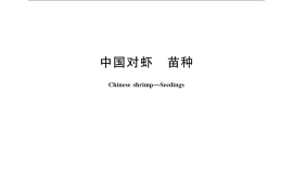 GB／T 15101.2-2008 中国对虾 苗种