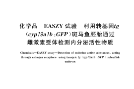 GB／T 45221-2025 化学品 EASZY试验 利用转基因 tg（cyp19a1b：GFP）斑马鱼胚胎通过雌激素受体检测内分泌活性物质