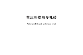 GB／T 26541-2011 蒸压粉煤灰多孔砖