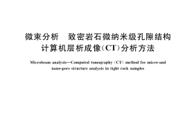 GB／T 38531-2020 微束分析 致密岩石微纳米级孔隙结构计算机层析成像（CT）分析方法