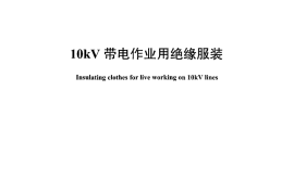 DLT1125-2009 10kV带电作业用绝缘服装