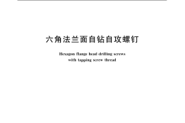 GB／T 15856.4-2002 六角法兰面自钻自攻螺钉