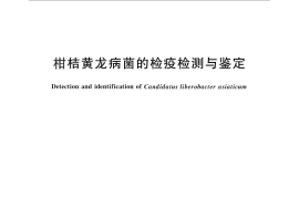 GB／T 29393-2012 柑桔黄龙病菌的检疫检测与鉴定