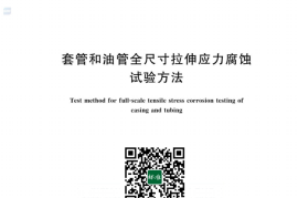 GB／T 43925-2024 套管和油管全尺寸拉伸应力腐蚀试验方法(1)