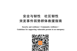 GB／T 41670-2022 安全与韧性 社区韧性 突发事件弱势群体救援指南