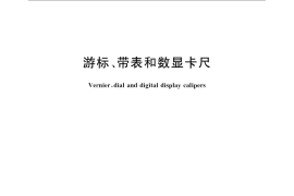 GB／T 21389-2008 游标、带表和数显卡尺