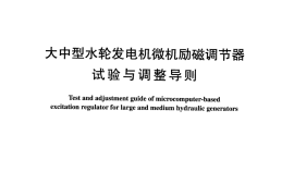 DLT1013-2006 大中型水轮发电机微机励磁调节器试验和调整导则